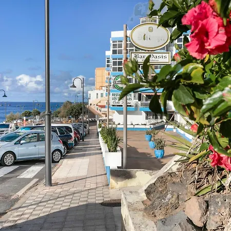 Coral Bajamar (La Laguna)