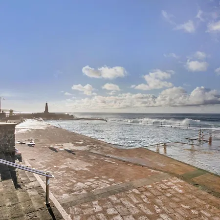 Coral Bajamar (La Laguna)